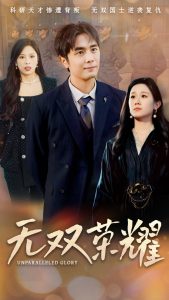 无双荣耀第21-40集