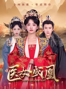 医女成凰第41-60集