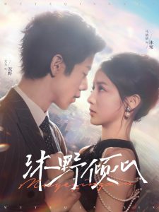 沐野倾心第21-40集