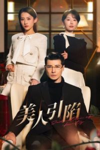 美人引陷第41-56集完结(大结局)