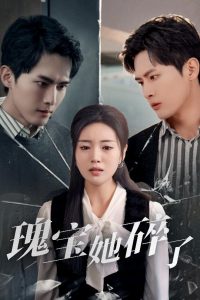 瑰宝她碎了第01-20集