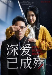 深爱已成殇第1-20集