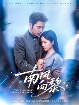 南风向黎第31-60集