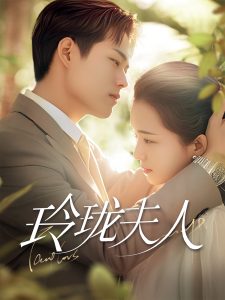 玲珑夫人第41-60集