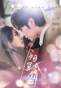 今日宜大婚全集(大结局)