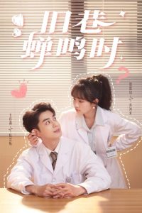 旧巷蝉鸣时第1-20集