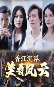 香江沉浮笑看风云第21-48集完结(大结局)