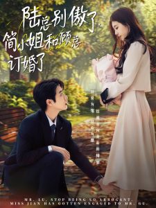 陆总别傲了，简小姐和顾总订婚了第61-89集完结(大结局)