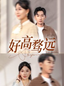 好高骛远第31-50集完结(大结局)