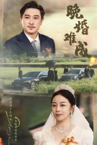 晚婚难成第01-30集