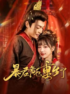 暴君竟也重生了第31-60集