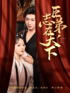 臣弟，志在天下第31-60集