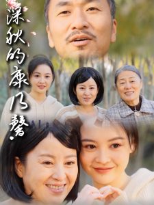 深秋的康乃馨第1-30集