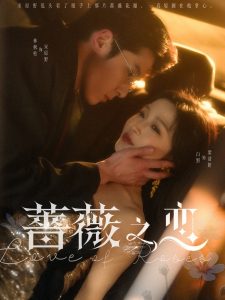 蔷薇之恋第1-30集