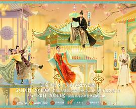 韶华若锦第13集