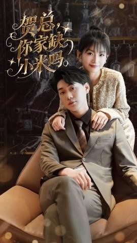 贺总你家缺小米吗全集(大结局)