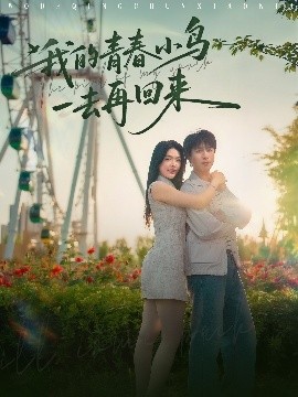 我的青春小鸟一去再回来全集完结(大结局)