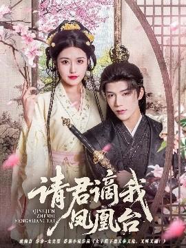 请君谪我凤凰台全集完结(大结局)