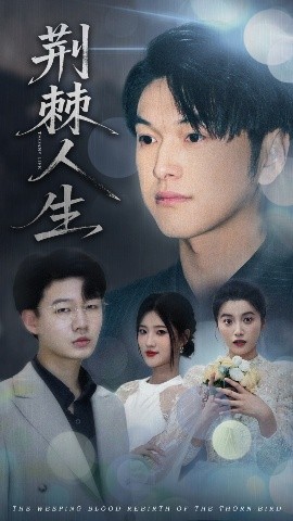 荆棘人生第61-74集(大结局)