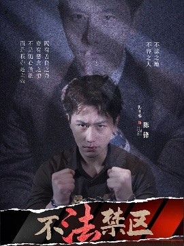 不法禁区全集完结(大结局)