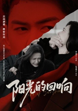 阳光的回响全集完结(大结局)