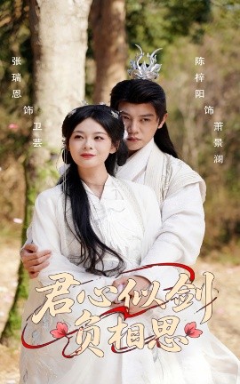 君心似剑负相思第31-61集(大结局)