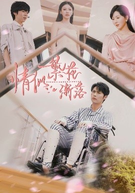 情似繁花渐落全集完结(大结局)