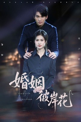 婚姻彼岸花全集(大结局)