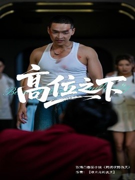 高位之下全集完结(大结局)