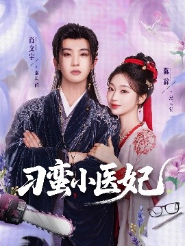 刁蛮小医妃第61-72集(大结局)