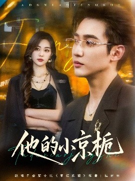 他的小京栀全集(大结局)