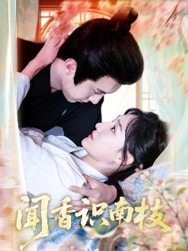 闻香识南枝全集(大结局)