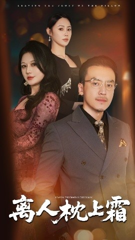 离人枕上霜第31-60集