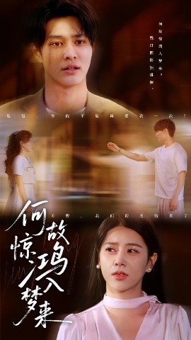 何故惊鸿入梦来全集完结(大结局)