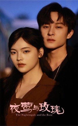 夜莺与玫瑰全集(大结局)