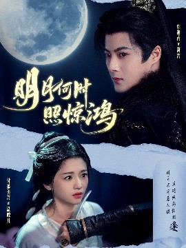 明月何时照惊鸿第31-60集