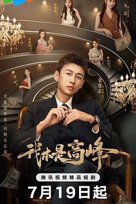 我本是高峰第10集