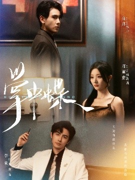 掌中蝶第61-84集(大结局)