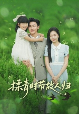 揉青时节故人归第31-60集(大结局)