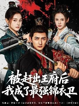 被赶出王府后我成了最强锦衣卫全集完结(大结局)