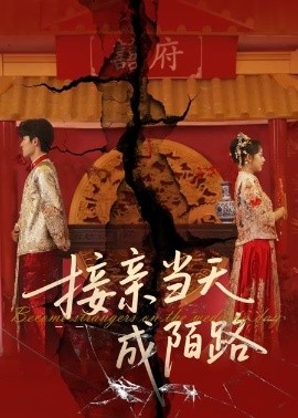 接亲当天成陌路全集(大结局)