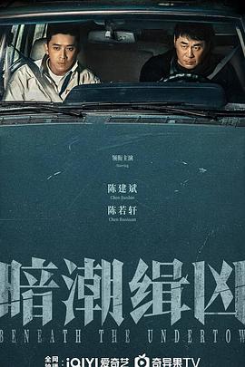 暗潮缉凶第11集