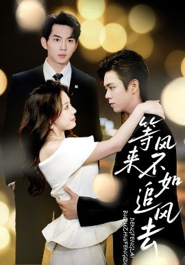等风来不如追风去全集(大结局)