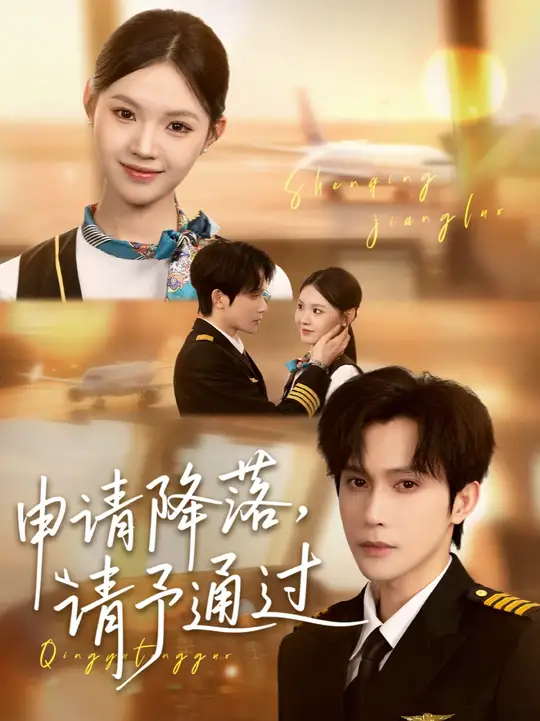 申请降落请予通过第31-60集(大结局)