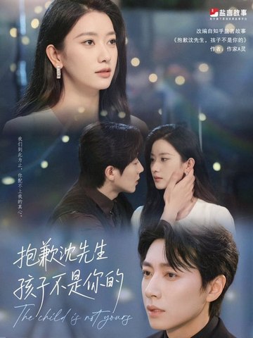 沈先生我们复合好不好全集(大结局)