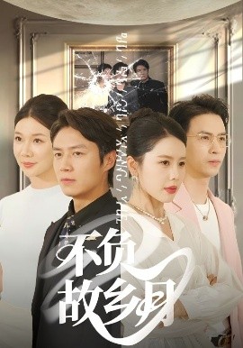 不负故乡月全集(大结局)