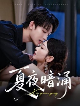 夏夜暗涌全集(大结局)