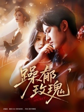 躁郁玫瑰第31-60集