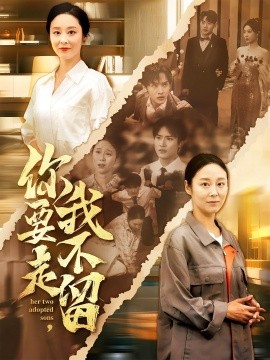 你要走我不留全集(大结局)