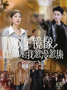 双生镜像陆先生对我忽冷忽热全集(大结局)